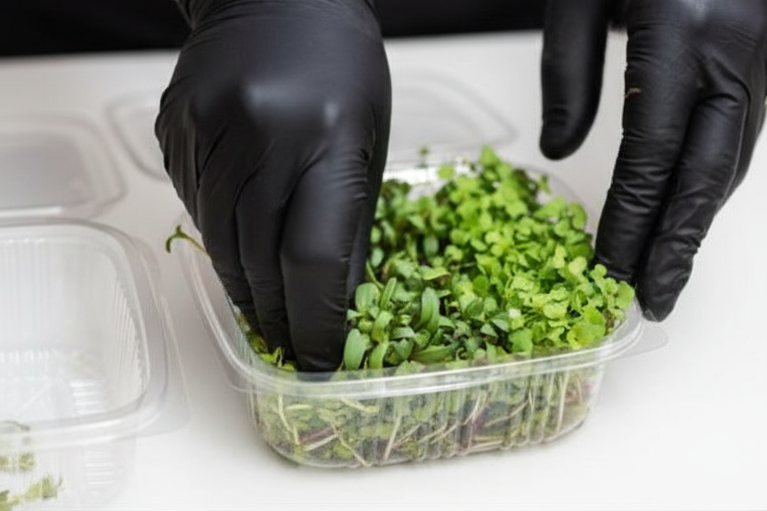 بسته ترکیبی کوچک میکروگرین مینی آگور