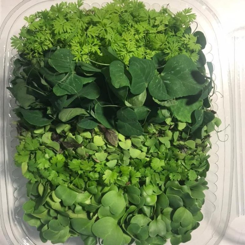 بسته 100 گرمی ترکیبی میکروگرین سرزمین آگور