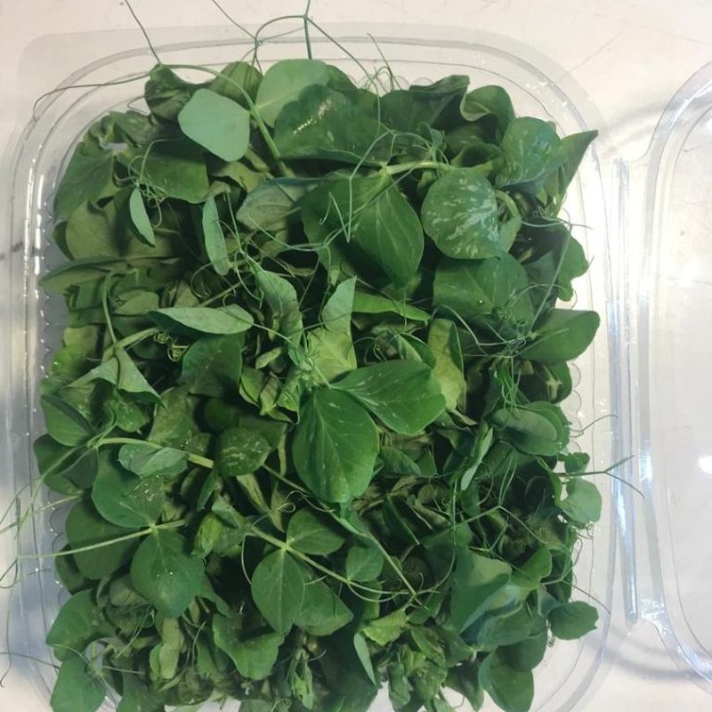 بسته 100 گرمی میکروسبزی نخود فرنگی تازه سرزمین آگور